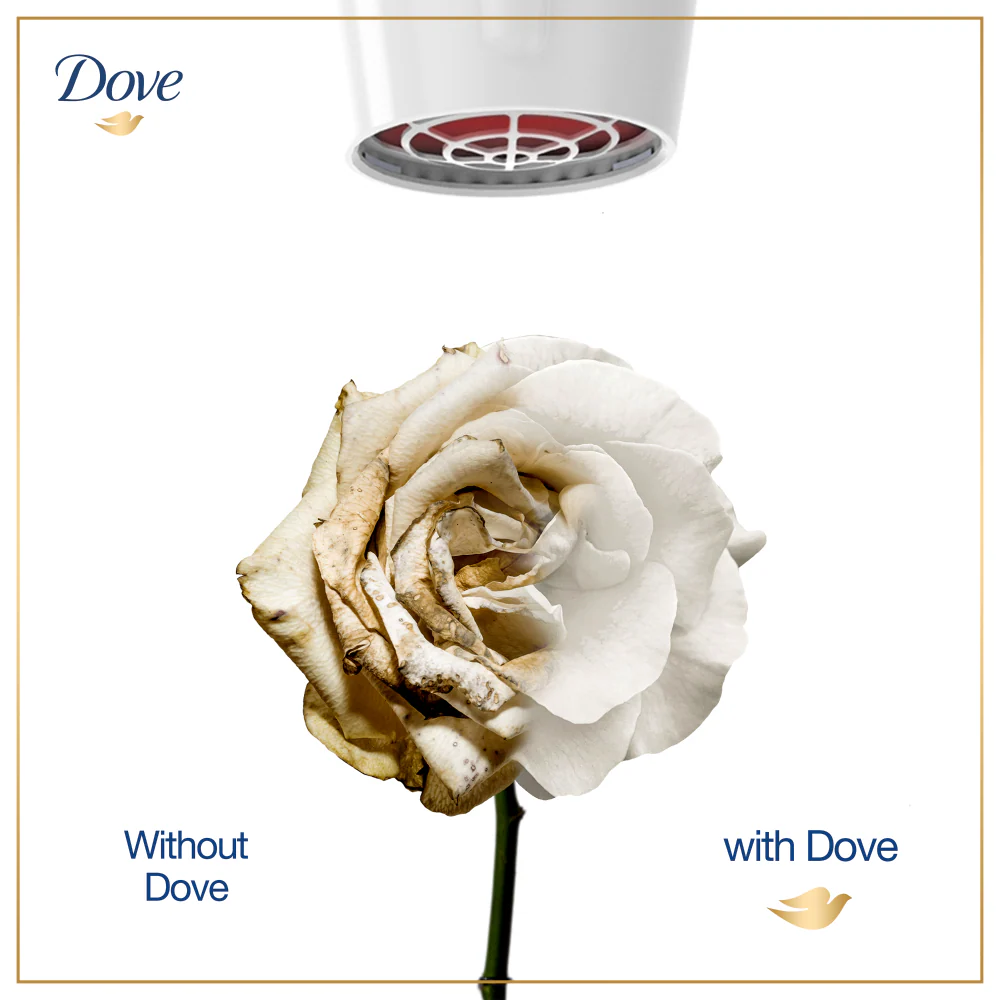 Dove Shampoo Intense Repair - 360Ml
